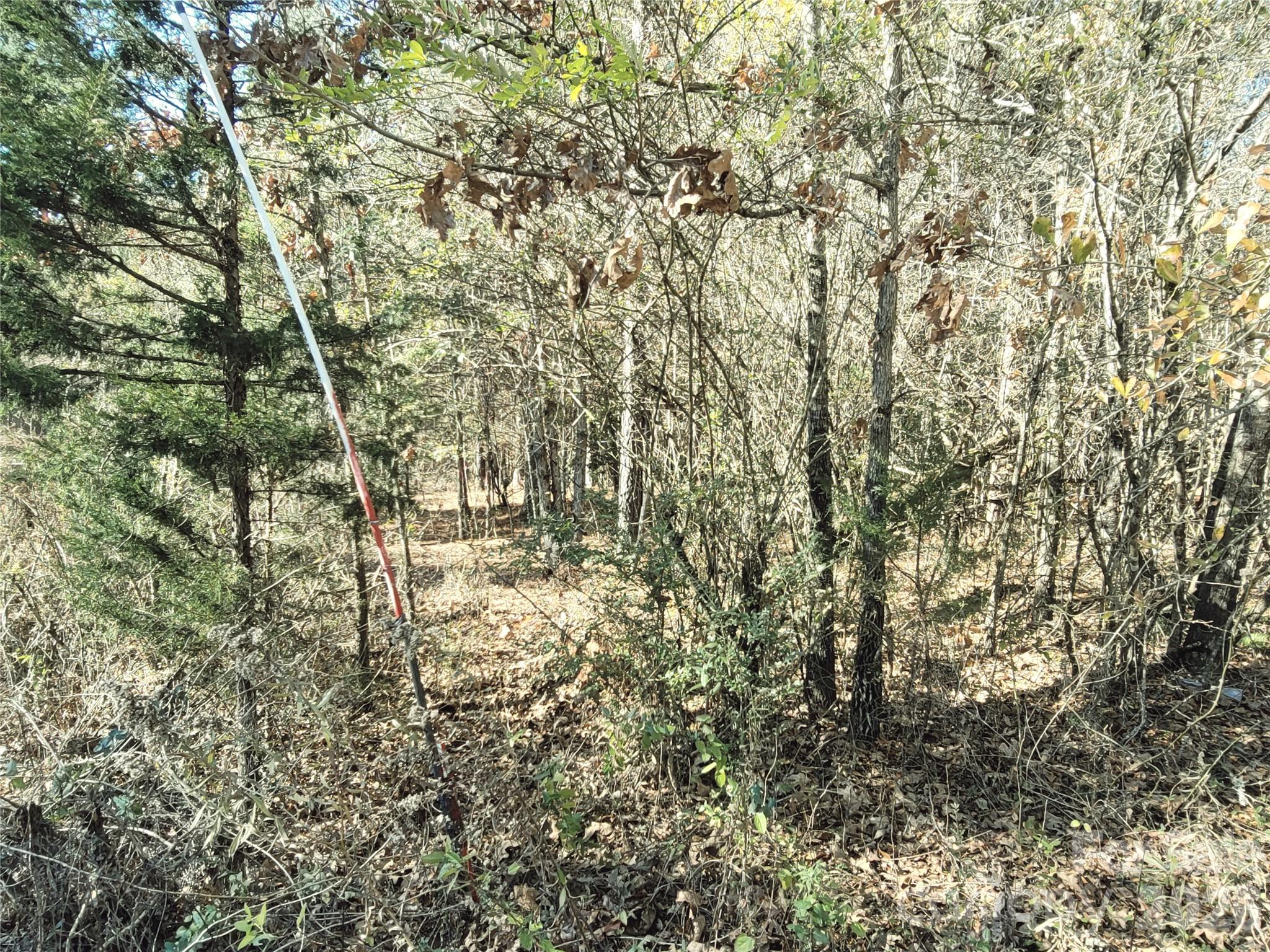 0 Farmer Johns Trail Rutherfordton NC 28139