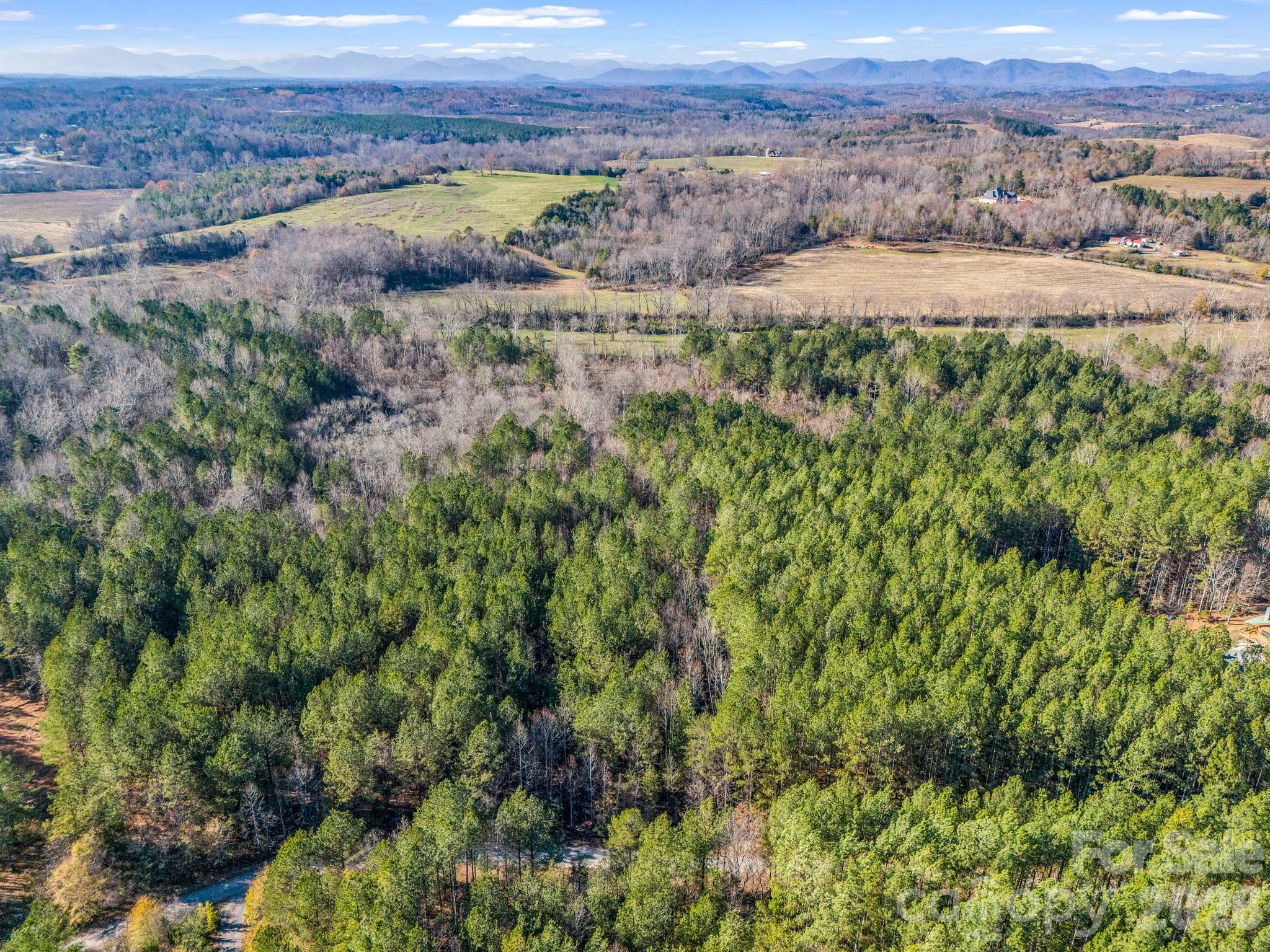 0 Farmer Johns Trail Rutherfordton NC 28139