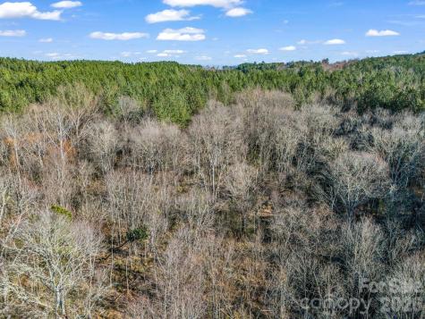 0 Farmer Johns Trail Rutherfordton NC 28139