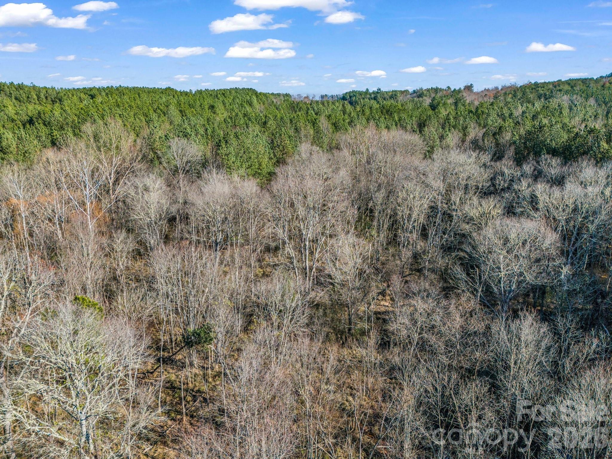 0 Farmer Johns Trail Rutherfordton NC 28139