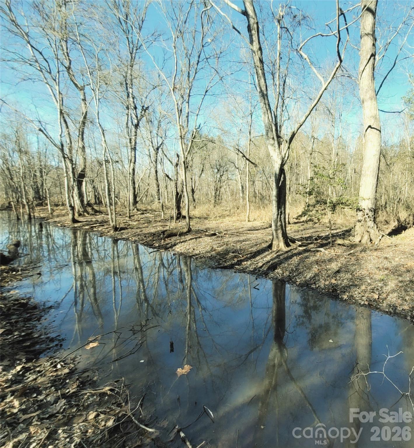0 Farmer Johns Trail Rutherfordton NC 28139