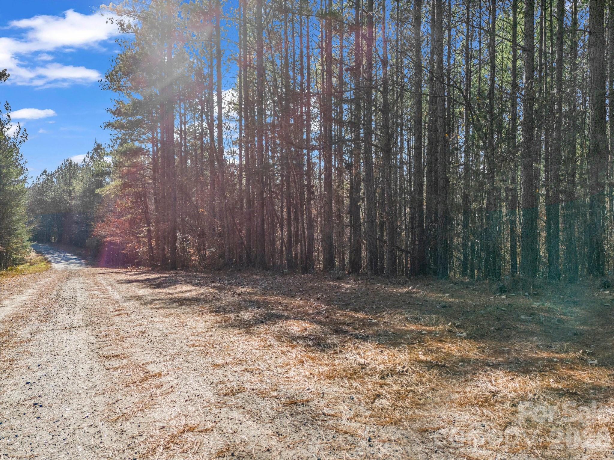 0 Farmer Johns Trail Rutherfordton NC 28139