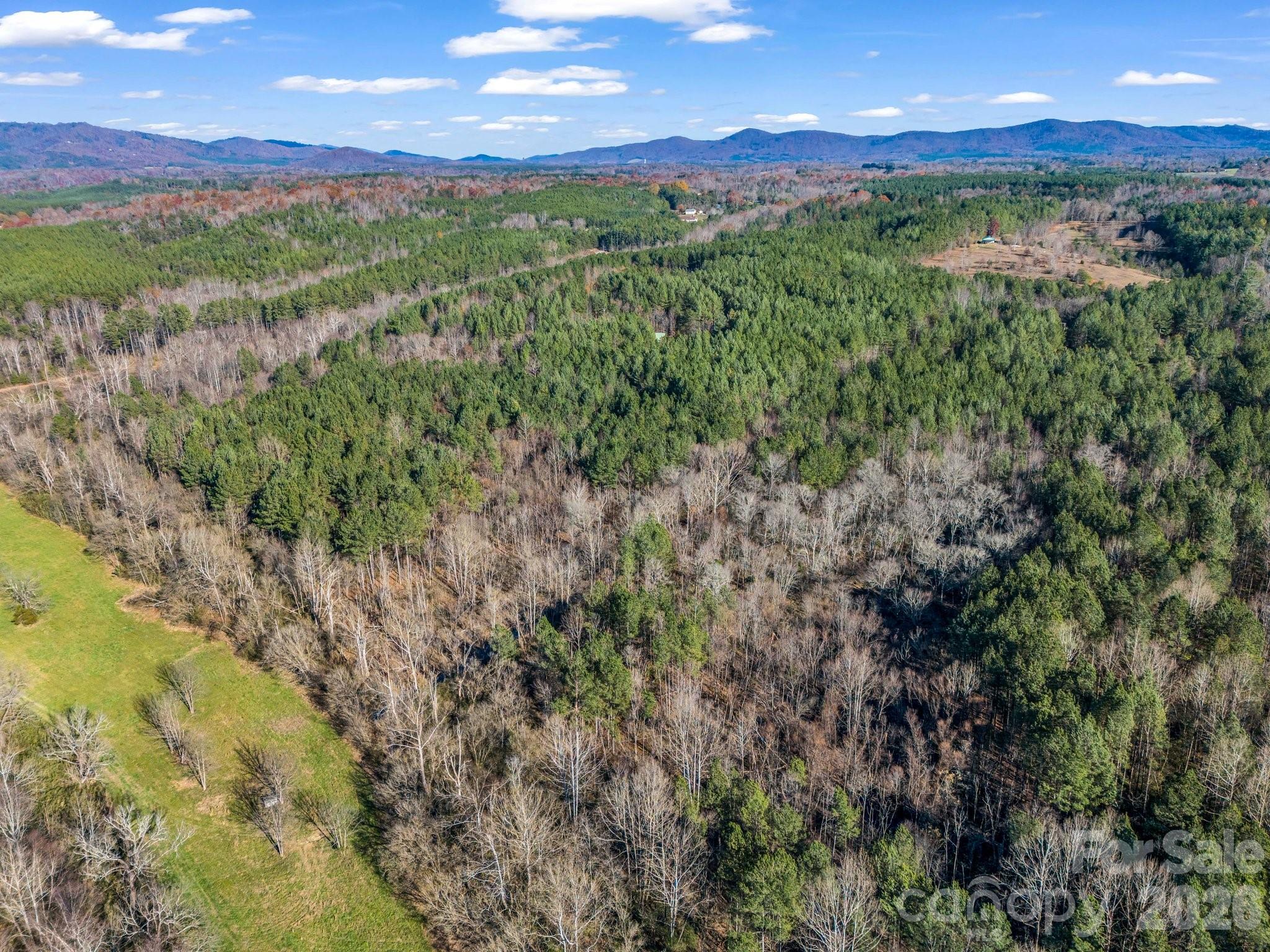 0 Farmer Johns Trail Rutherfordton NC 28139