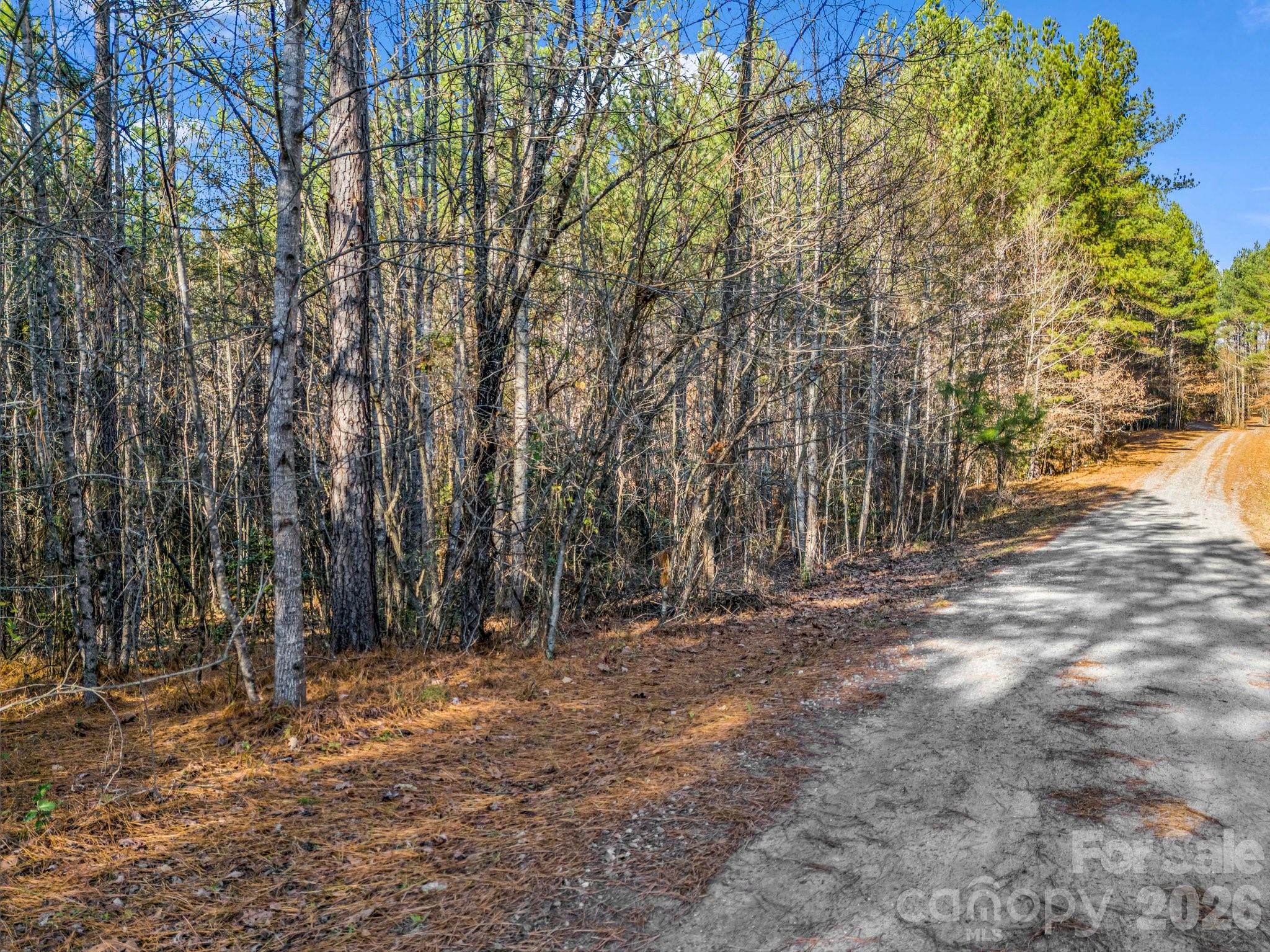 0 Farmer Johns Trail Rutherfordton NC 28139