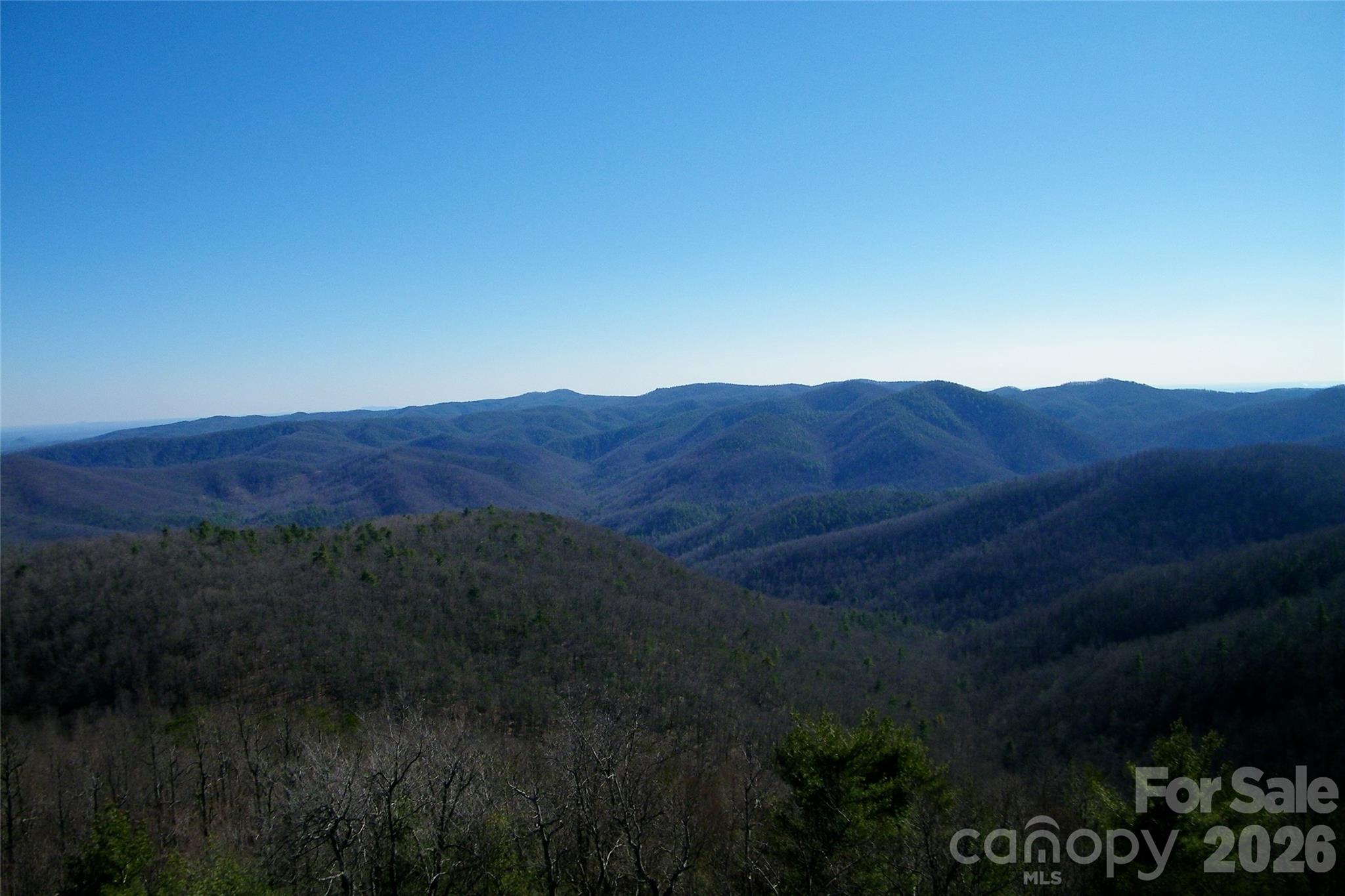 Lot 111 Trellis Drive Nebo NC 28761