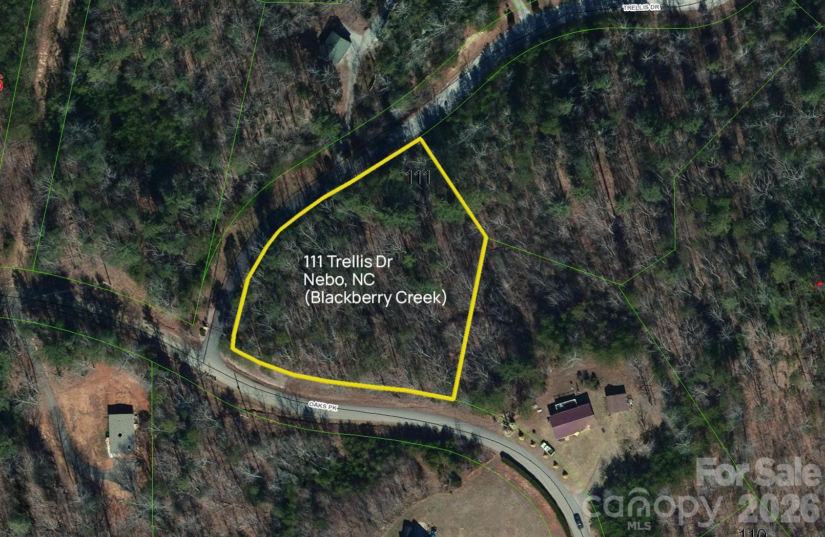 Lot 111 Trellis Drive Nebo NC 28761