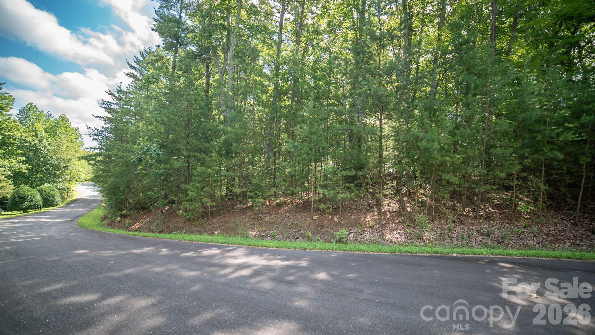 Lot 111 Trellis Drive Nebo NC 28761