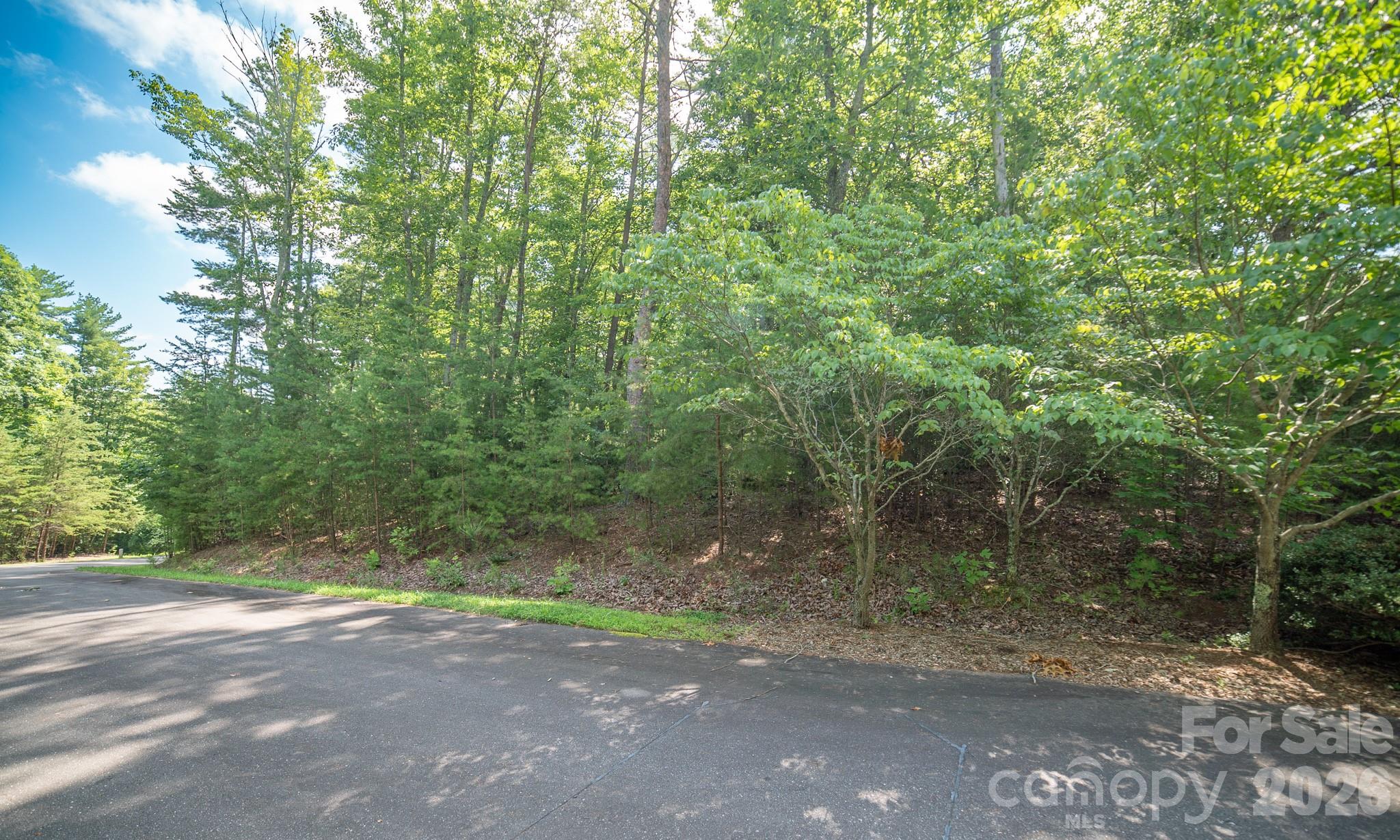 Lot 111 Trellis Drive Nebo NC 28761