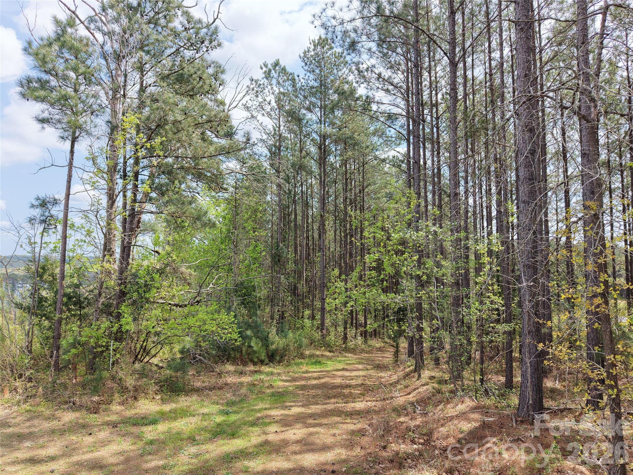 Tbd Spencer Pointe Road Lilesville NC 28091