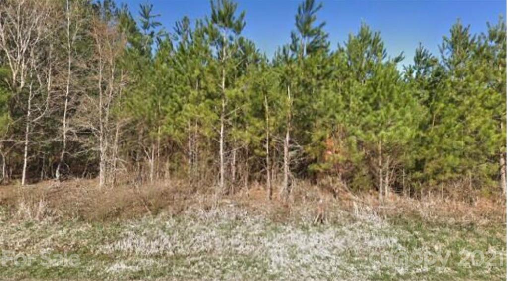 11250 Jim Sossoman Road Midland NC 28107