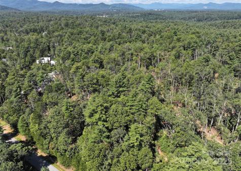 15 Mirehouse Run Asheville NC 28803