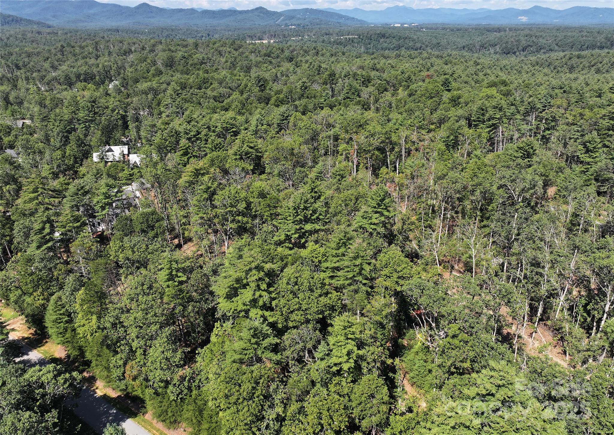 15 Mirehouse Run Asheville NC 28803