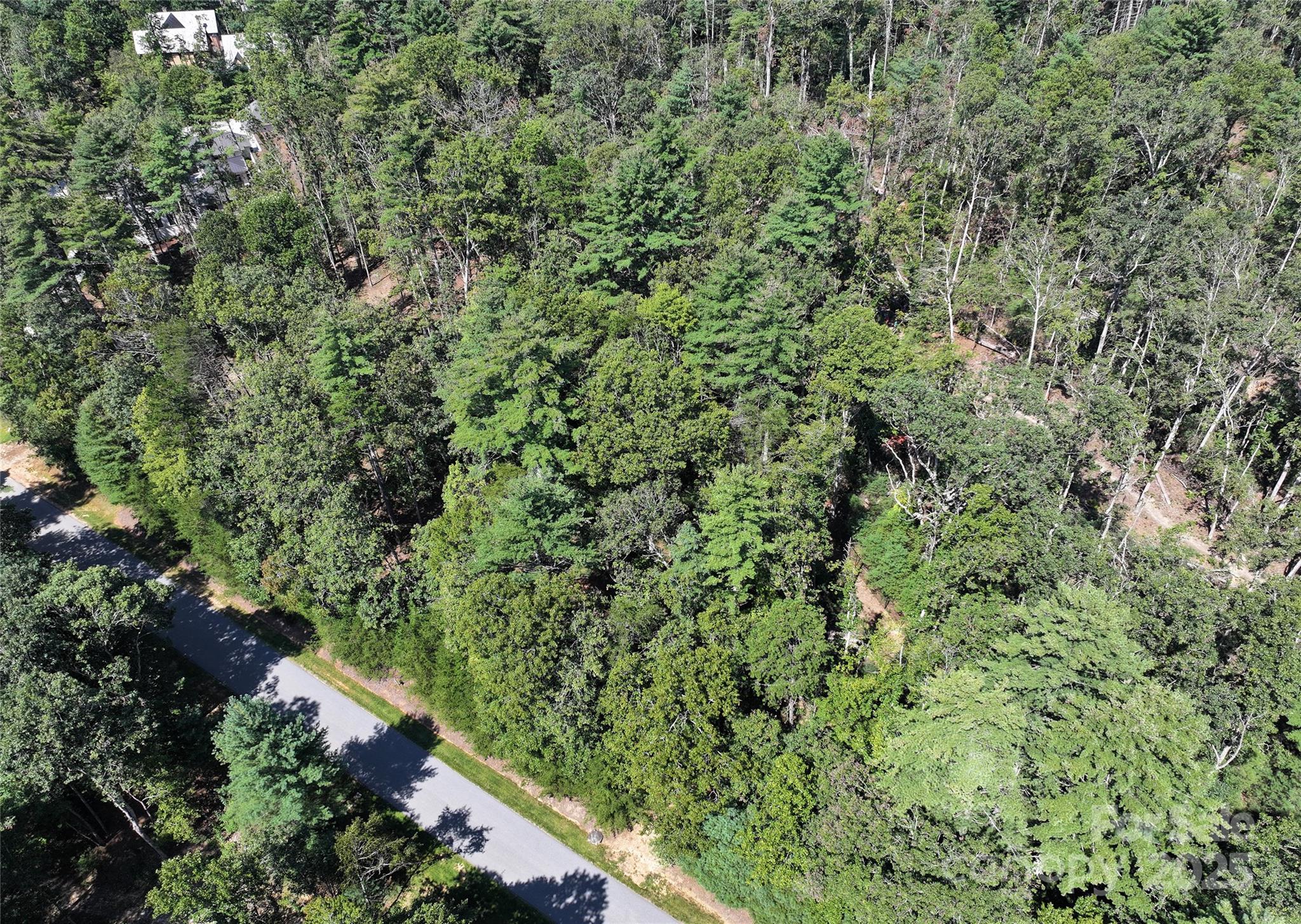15 Mirehouse Run Asheville NC 28803