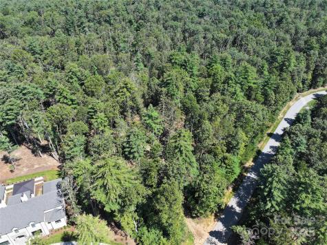 15 Mirehouse Run Asheville NC 28803