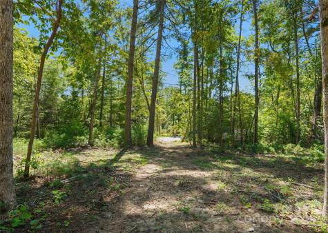 15 Mirehouse Run Asheville NC 28803