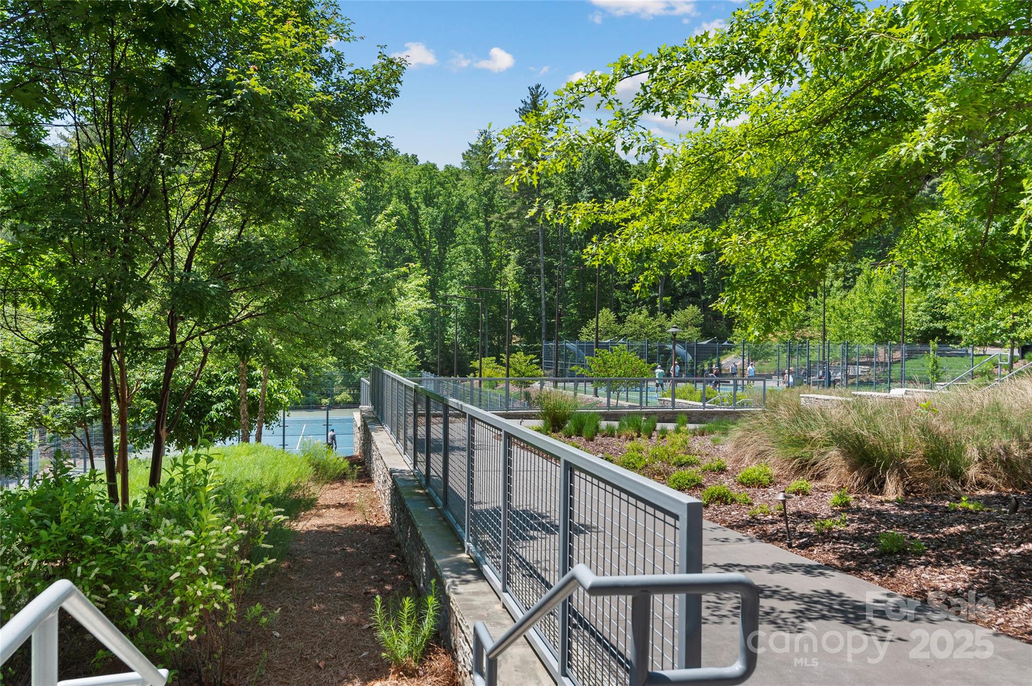 15 Mirehouse Run Asheville NC 28803