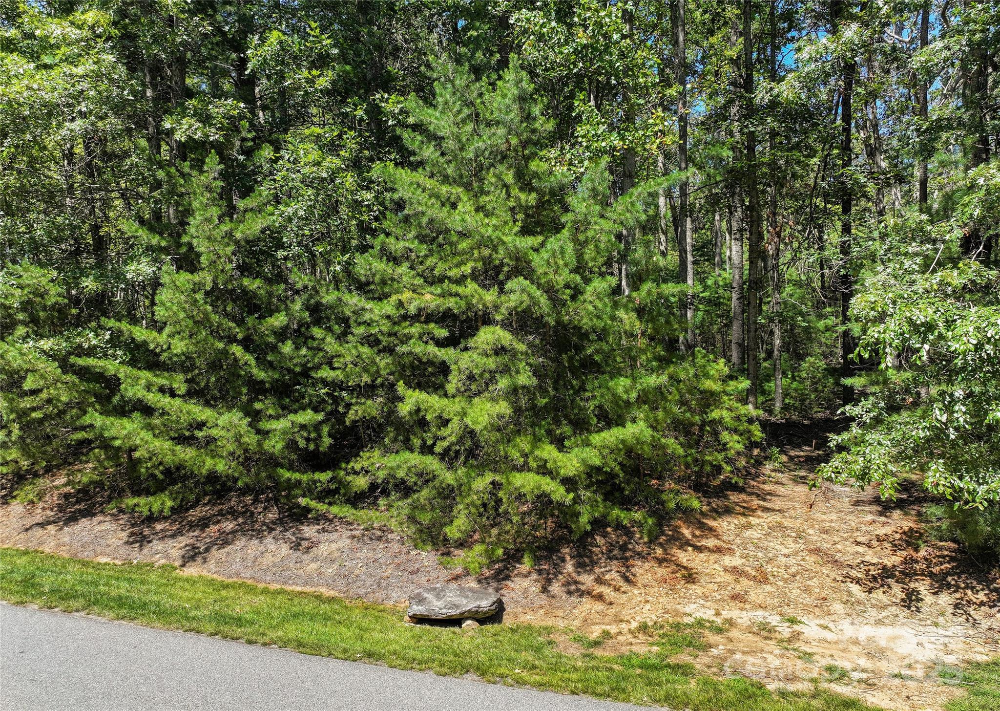 15 Mirehouse Run Asheville NC 28803