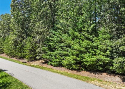 15 Mirehouse Run Asheville NC 28803