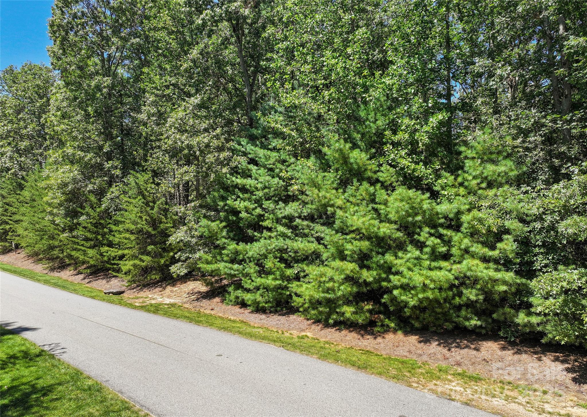 15 Mirehouse Run Asheville NC 28803
