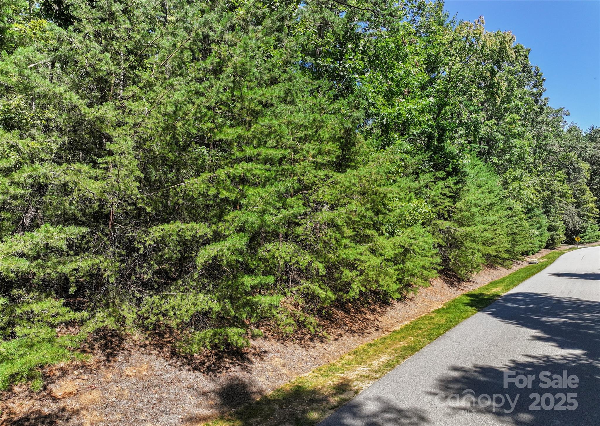 15 Mirehouse Run Asheville NC 28803