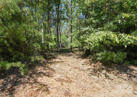 15 Mirehouse Run Asheville NC 28803