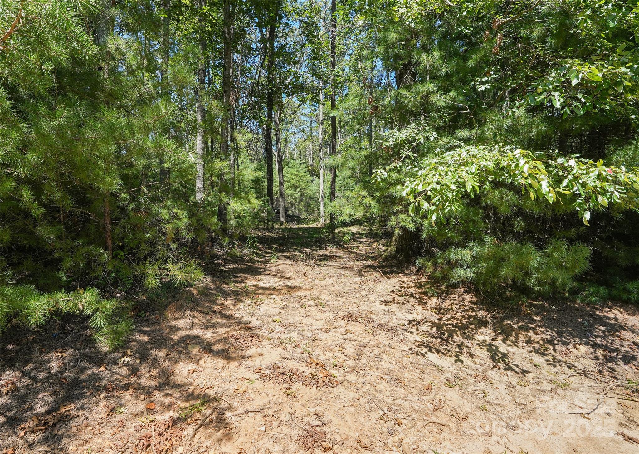 15 Mirehouse Run Asheville NC 28803