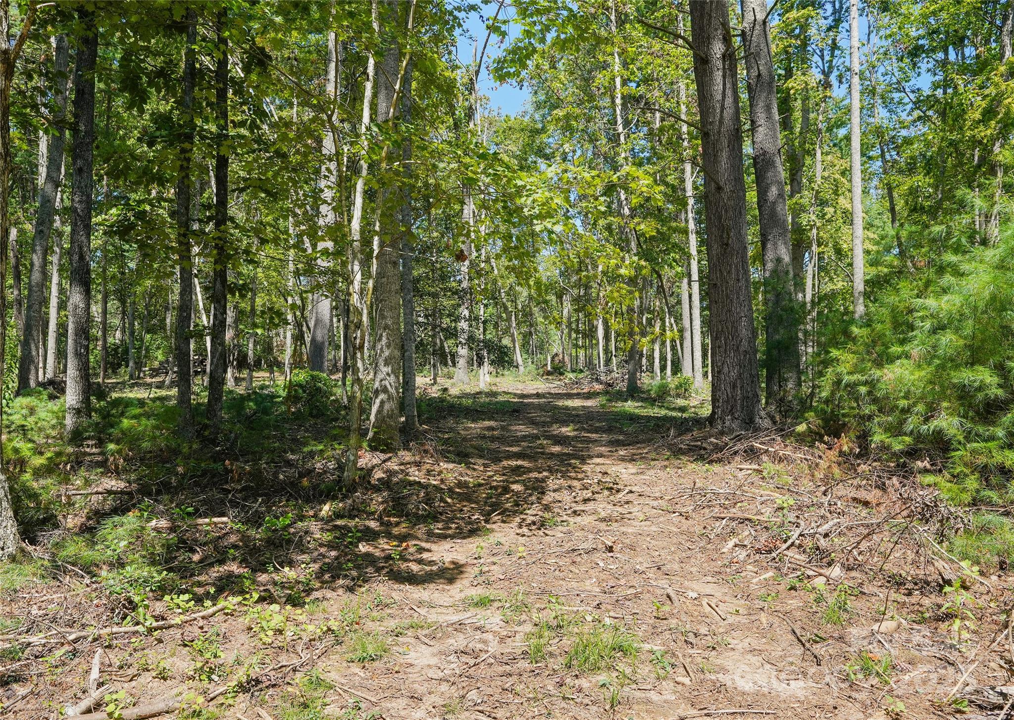15 Mirehouse Run Asheville NC 28803