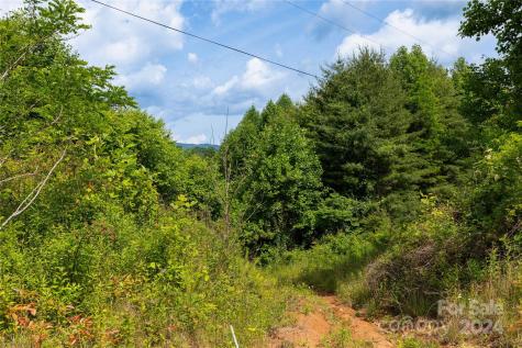 000 Destiny Road Waynesville NC 28785