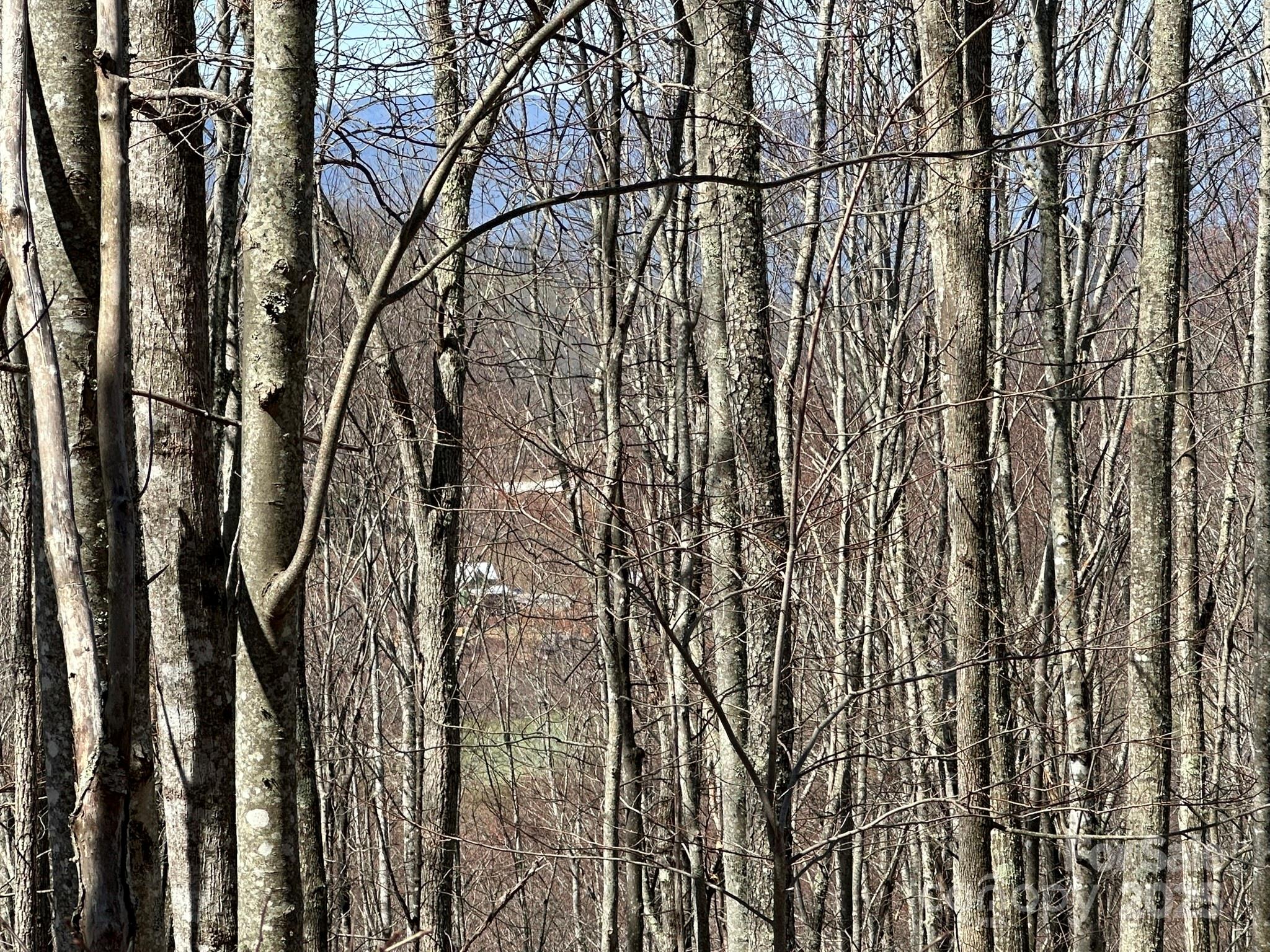 146 E Clubhouse Road Sylva NC 28779