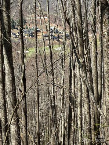 146 E Clubhouse Road Sylva NC 28779