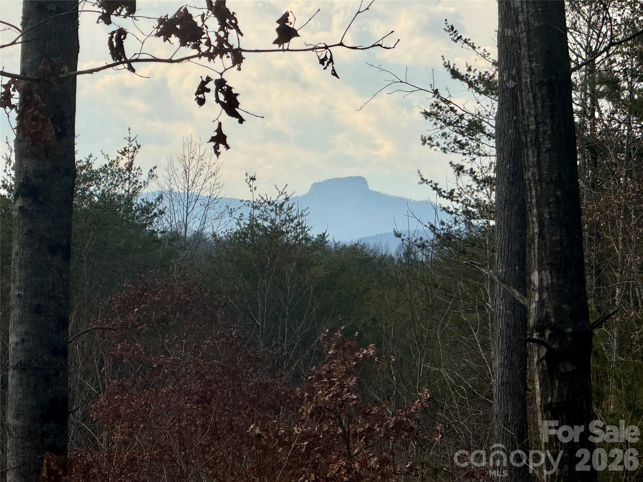 913 High Valley Way Lenoir NC 28645