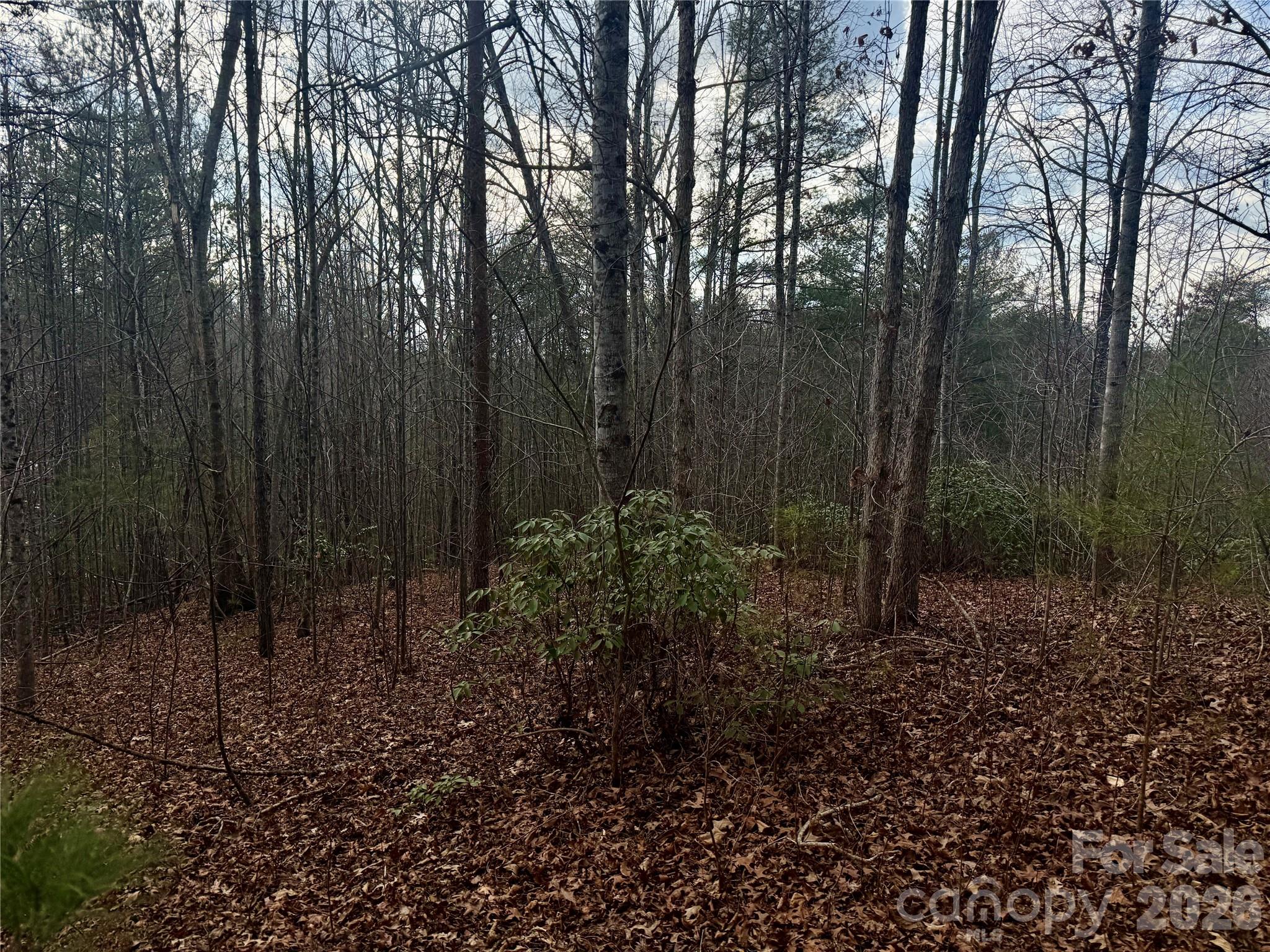 913 High Valley Way Lenoir NC 28645
