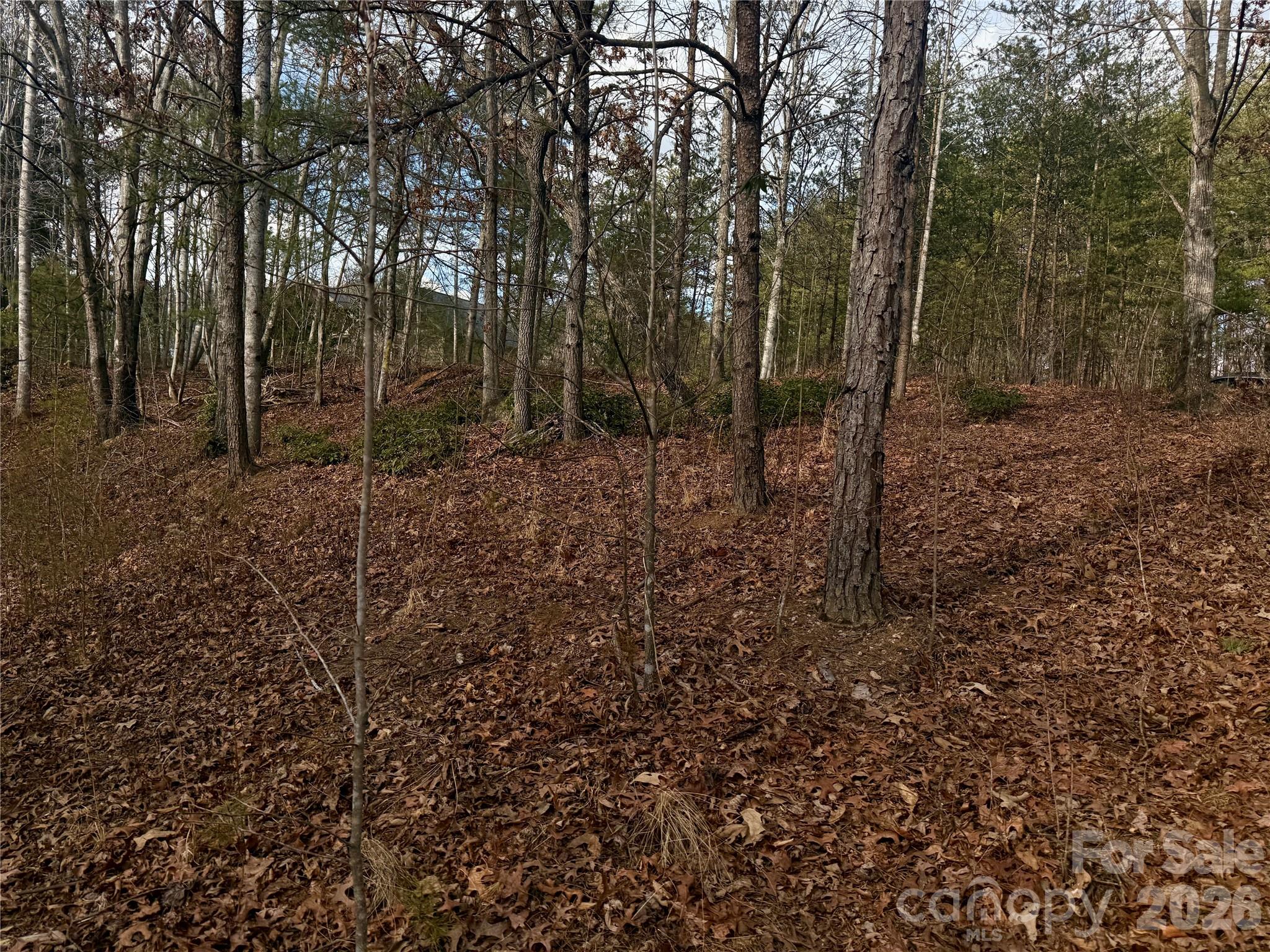 913 High Valley Way Lenoir NC 28645