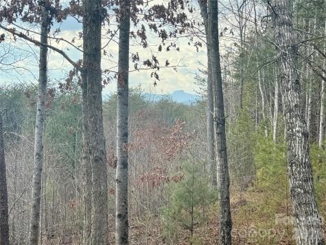 913 High Valley Way Lenoir NC 28645