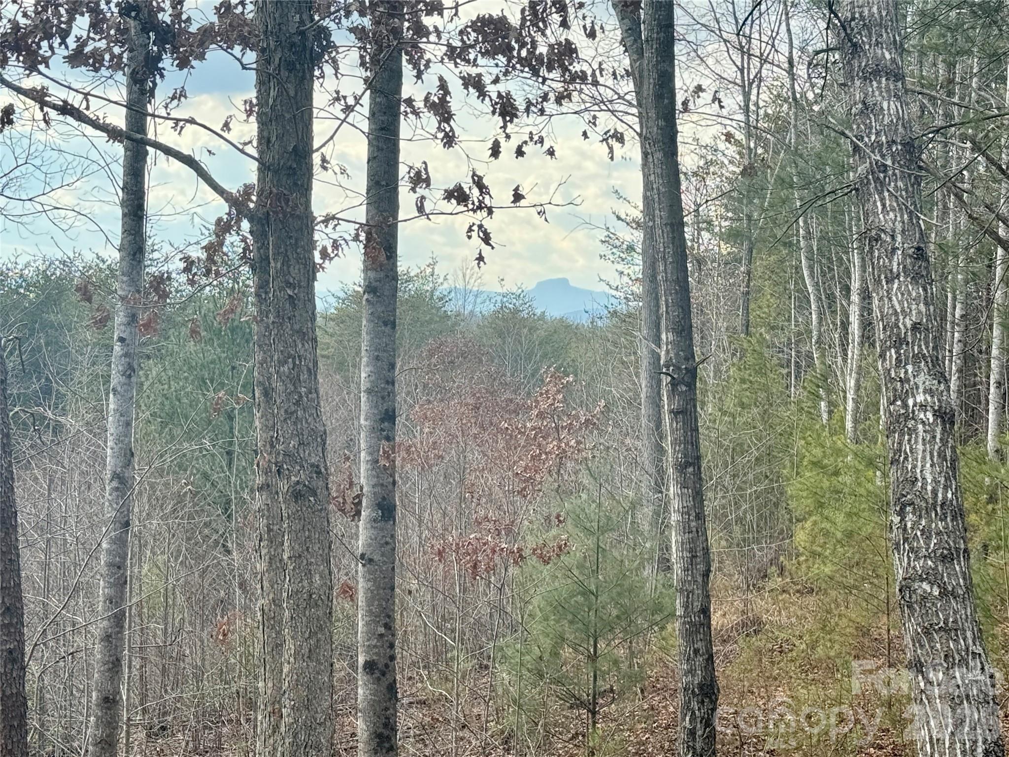 913 High Valley Way Lenoir NC 28645