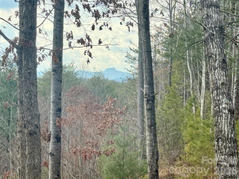 913 High Valley Way Lenoir NC 28645