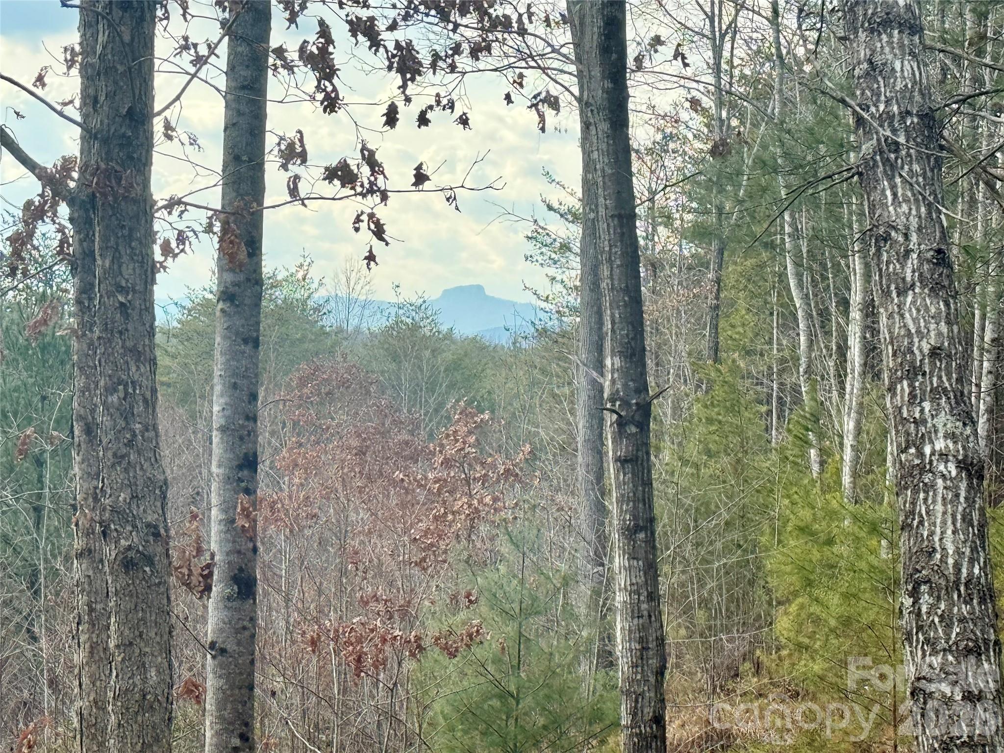 913 High Valley Way Lenoir NC 28645