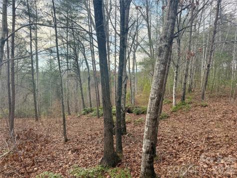 913 High Valley Way Lenoir NC 28645