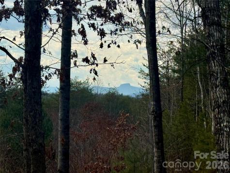 913 High Valley Way Lenoir NC 28645