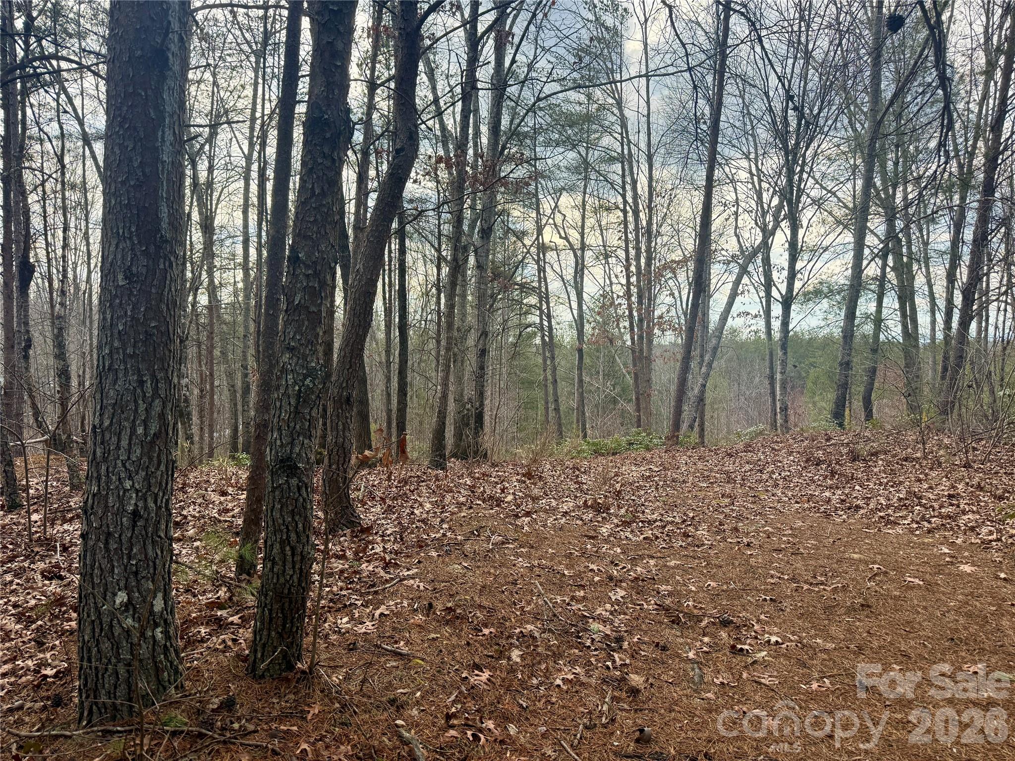 913 High Valley Way Lenoir NC 28645