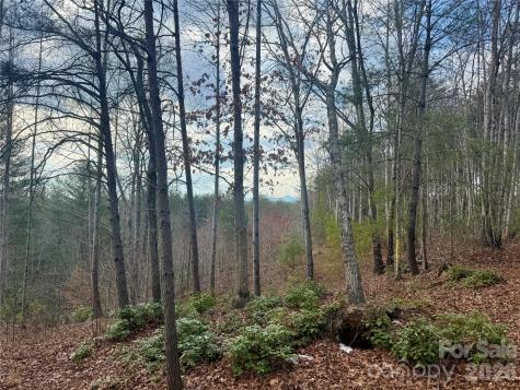 913 High Valley Way Lenoir NC 28645