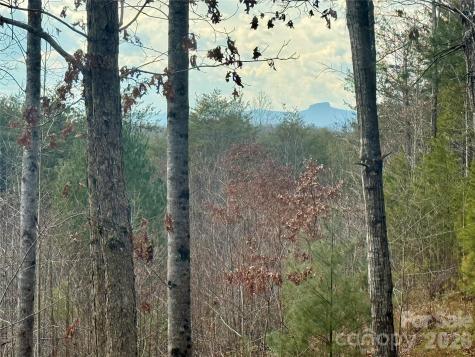 913 High Valley Way Lenoir NC 28645