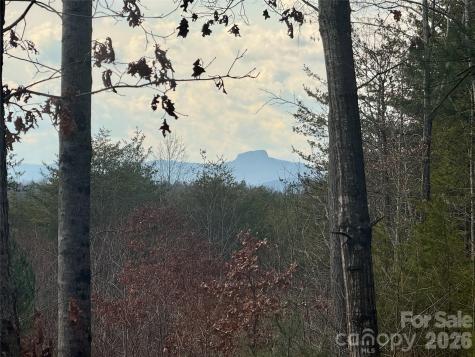 913 High Valley Way Lenoir NC 28645