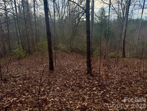 913 High Valley Way Lenoir NC 28645