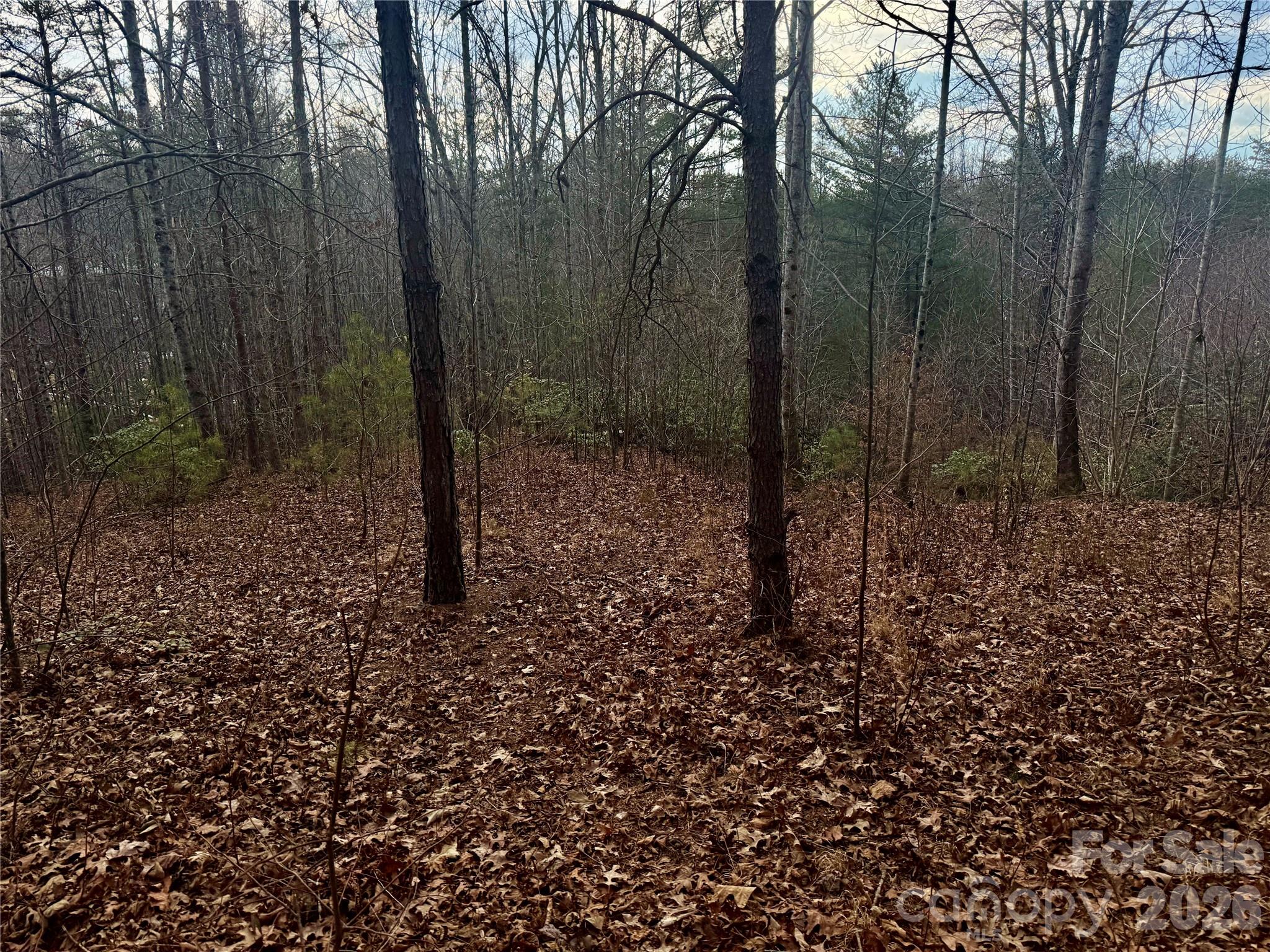 913 High Valley Way Lenoir NC 28645