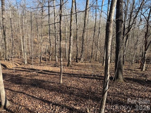 00 Valley Drive Rutherfordton NC 28139
