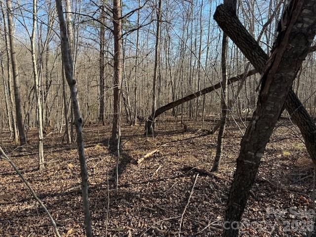 00 Valley Drive Rutherfordton NC 28139