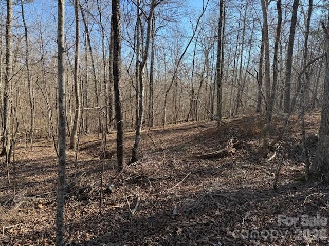 00 Valley Drive Rutherfordton NC 28139
