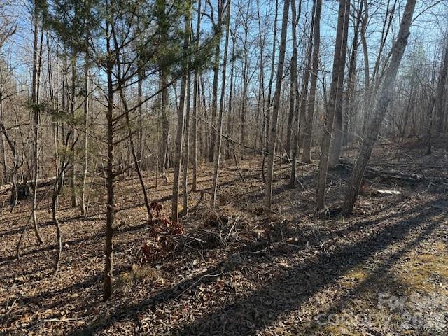 00 Valley Drive Rutherfordton NC 28139