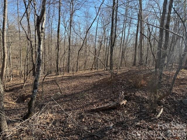 00 Valley Drive Rutherfordton NC 28139